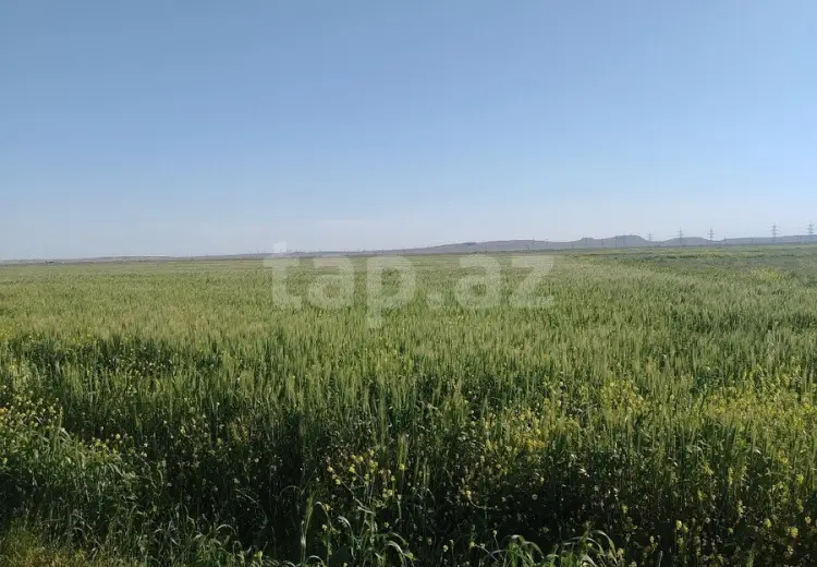 0 m² Obyekt / Ofis , Hacıqabul