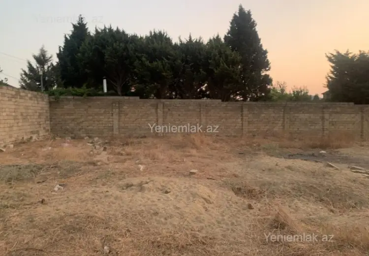 15 sot Torpaq Satılır, Saray, Abşeron