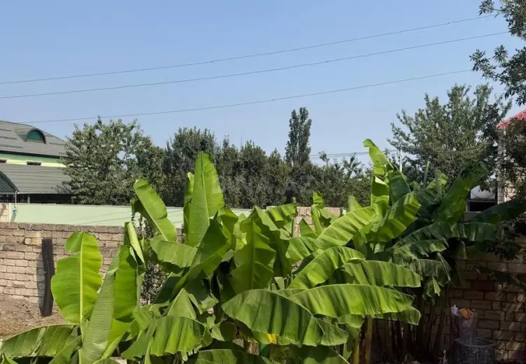 5 otaqlı mənzil Satılır, Quba