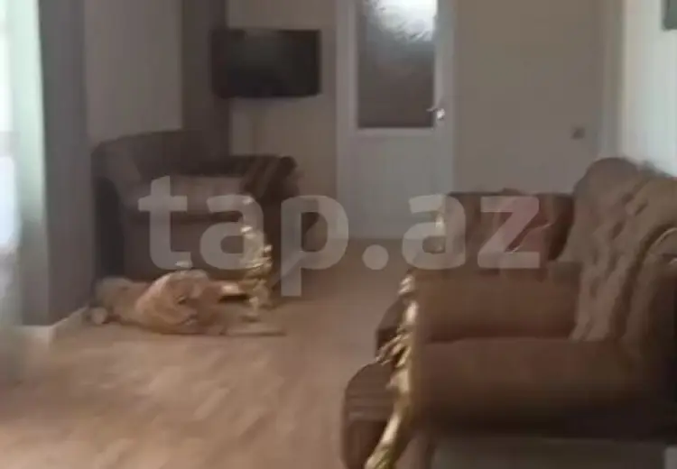 6 otaqlı mənzil , Nardaran qəs., Sabunçu, Bakı