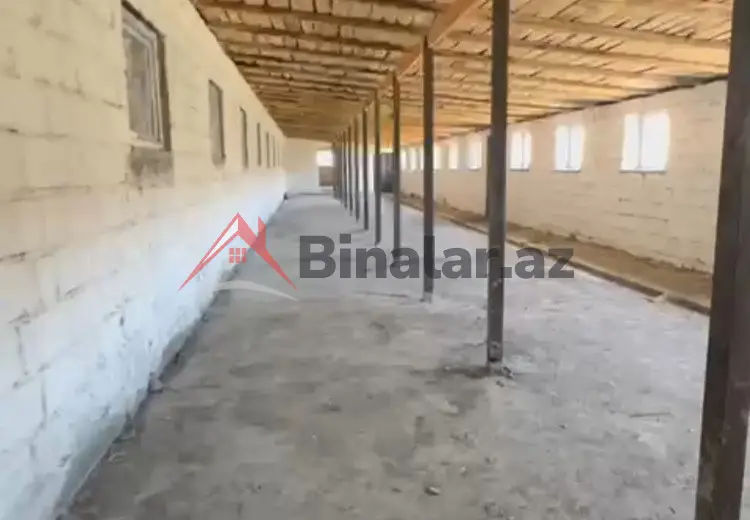 700 sot Torpaq Satılır, Qusar