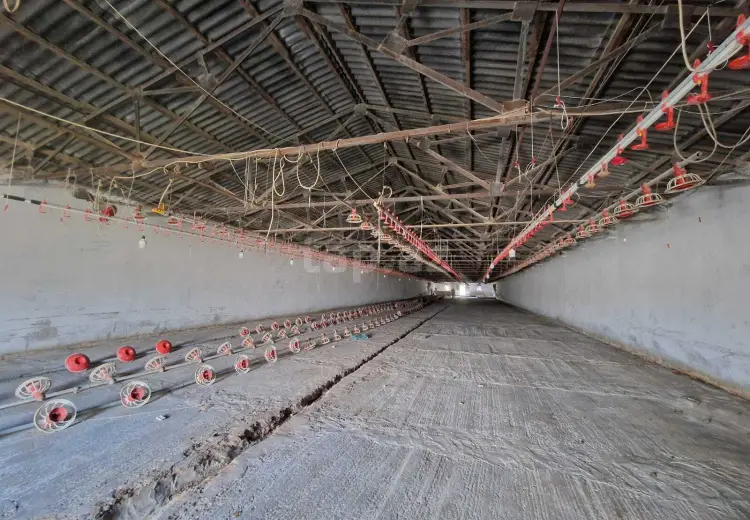 0 m² Obyekt / Ofis , Bakı