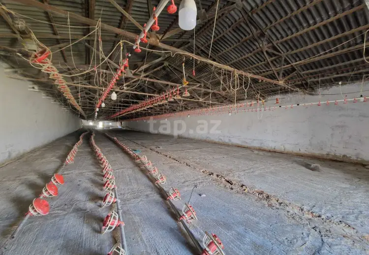 0 m² Obyekt / Ofis , Bakı
