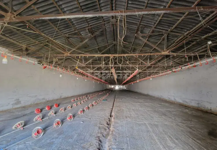 0 m² Obyekt / Ofis , Bakı