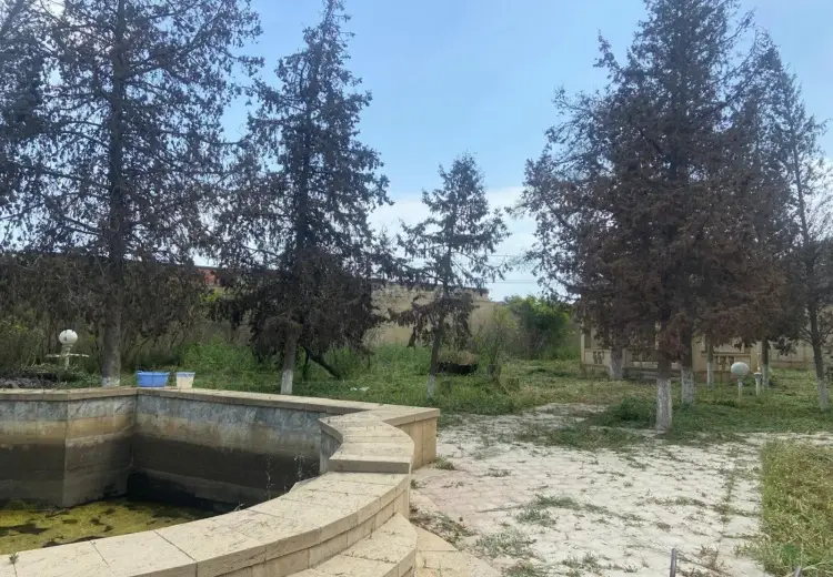 9.2 sot Torpaq Satılır, Mərdəkan, Xəzər, Bakı