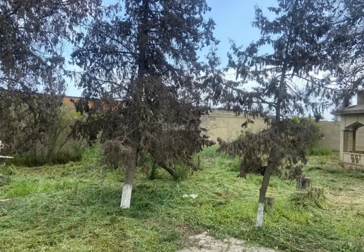 9.2 sot Torpaq Satılır, Mərdəkan, Xəzər, Bakı