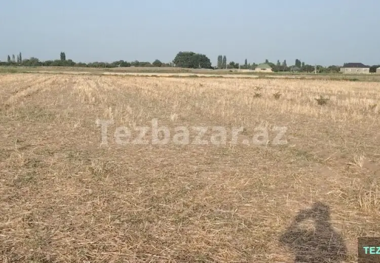 36 sot Torpaq Satılır, Samux