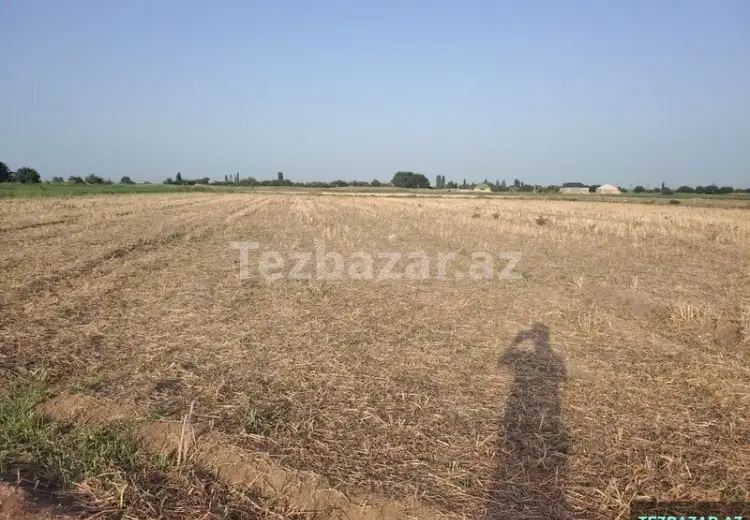 36 sot Torpaq Satılır, Samux
