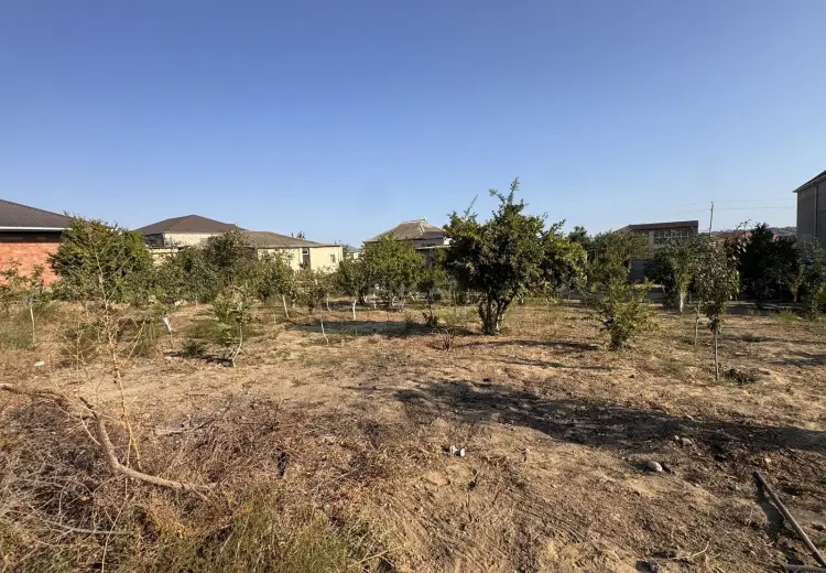 110 sot Torpaq Satılır, Saray, Abşeron