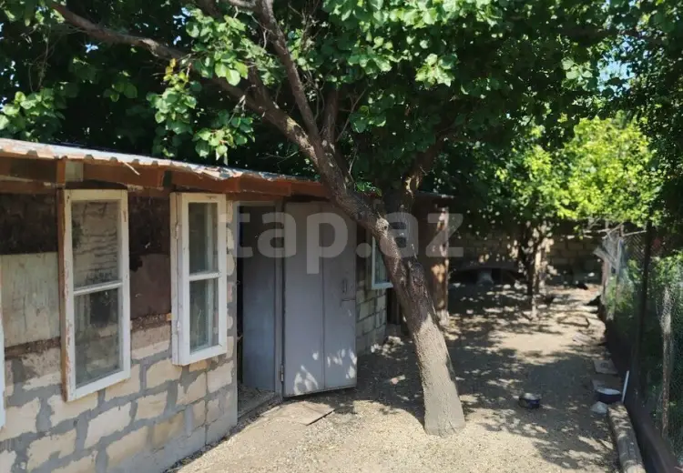 4 otaqlı mənzil , Şəki