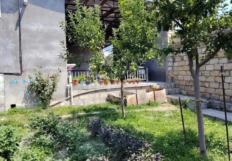 3 otaqlı mənzil , Şəki
