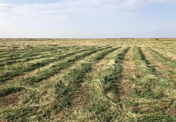 250 000 AZN - 40000 sot Torpaq Satılır, İmişli