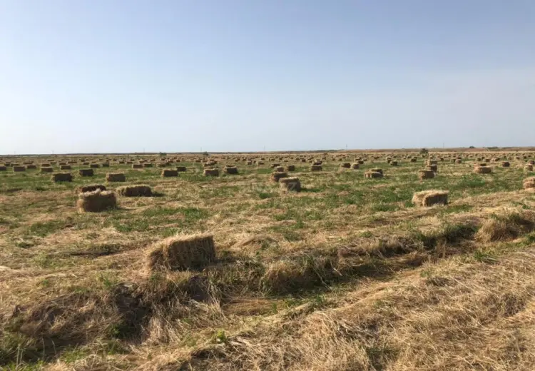 250 000 AZN - 40000 sot Torpaq Satılır, İmişli