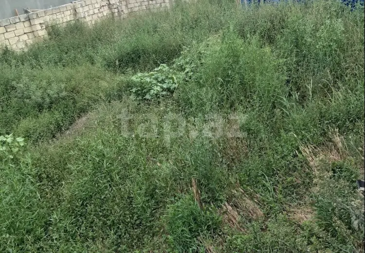 0 m² Obyekt / Ofis , Saray, Abşeron