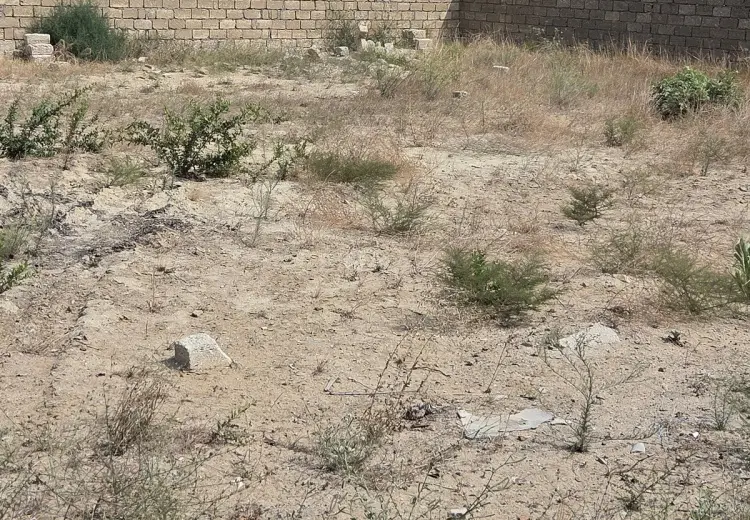 6.9 sot Torpaq Satılır, Qala, Xəzər, Bakı