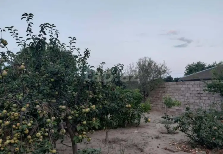 67 000 AZN - 0 m² Obyekt / Ofis, Bilgəh qəs., Sabunçu, Bakı