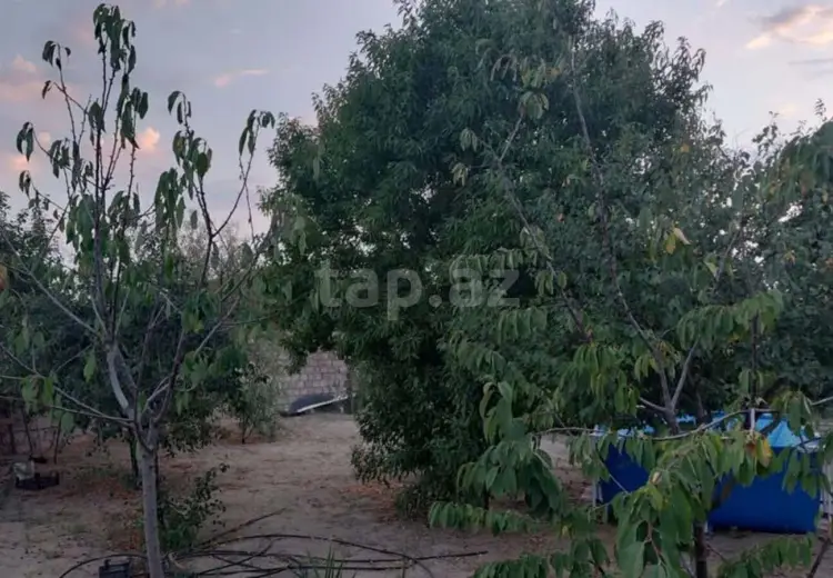 67 000 AZN - 0 m² Obyekt / Ofis, Bilgəh qəs., Sabunçu, Bakı