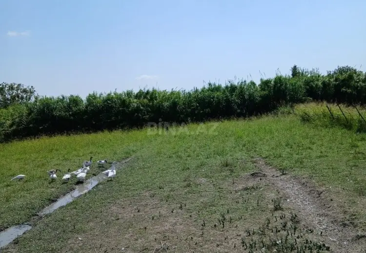 16 000 AZN - 16 sot Torpaq Satılır, Bərdə