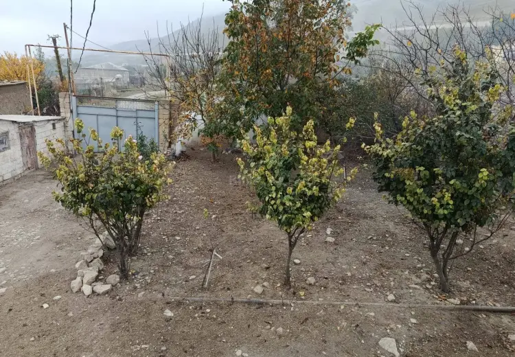 60 000 AZN - 1200 m² Obyekt / Ofis Satılır, Siyəzən