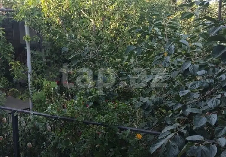 100 AZN - 4 otaqlı mənzil Kirayə (aylıq), Şamaxı