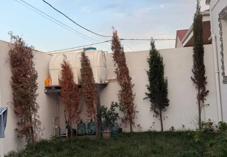 3 otaqlı mənzil Satılır, Binə qəs., Xəzər, Bakı