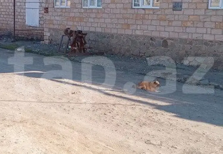 55 000 AZN - 5 otaqlı mənzil , Şəmkir