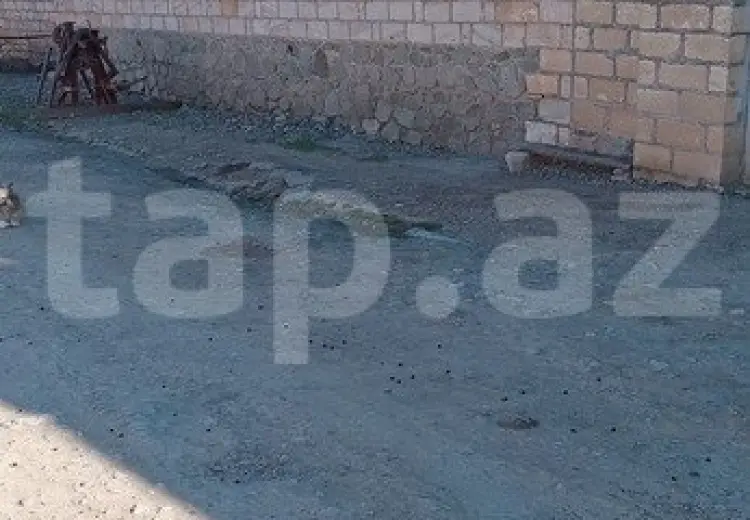 55 000 AZN - 5 otaqlı mənzil , Şəmkir
