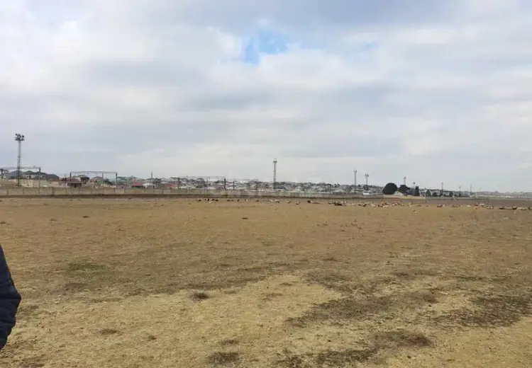 1000 sot Torpaq Satılır, Hökməli, Abşeron