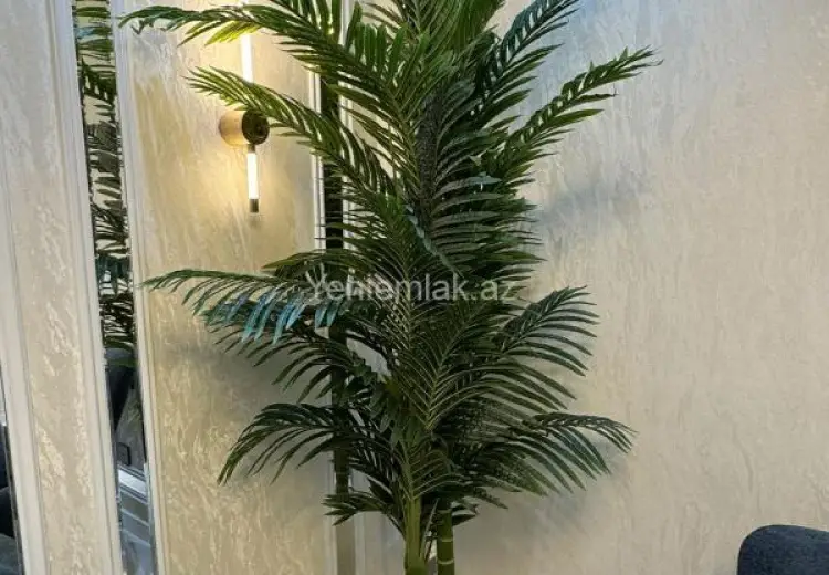 1 100 AZN - 2 otaqlı mənzil Kirayə (aylıq), Nərimanov, Bakı