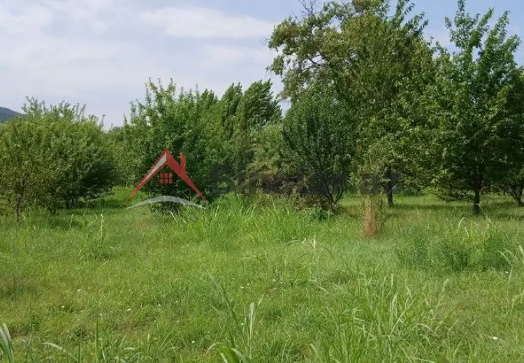 10 sot, Tikinti, Mülkiyyətçi, Kupça (Çıxarış)