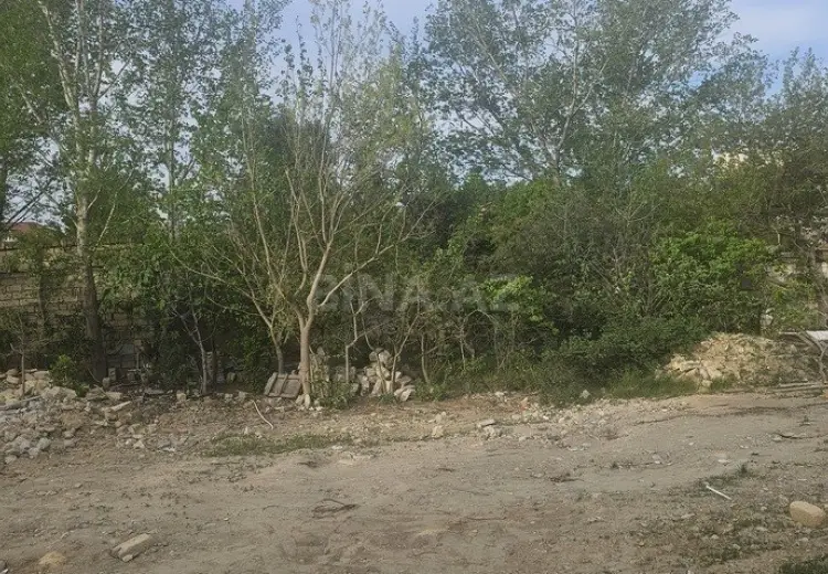 370 sot Torpaq Satılır, Bülbülə qəs., Suraxanı, Bakı