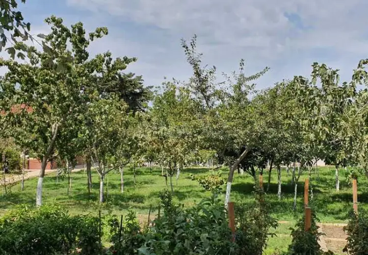 10 otaqlı mənzil Satılır, Novxanı, Abşeron