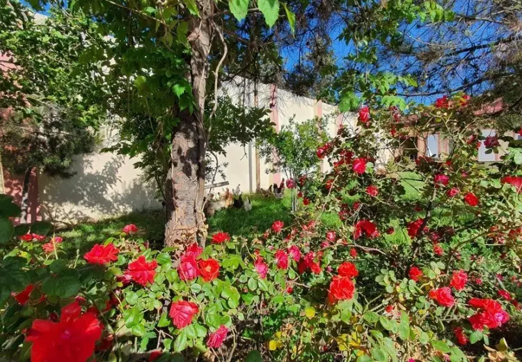 38 sot Torpaq Satılır, Nərimanov, Bakı
