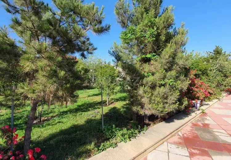 38 sot Torpaq Satılır, Nərimanov, Bakı