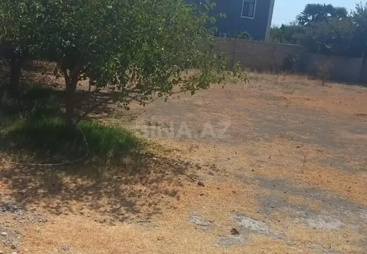 16 500 AZN - 6 sot Torpaq Satılır, Bərdə