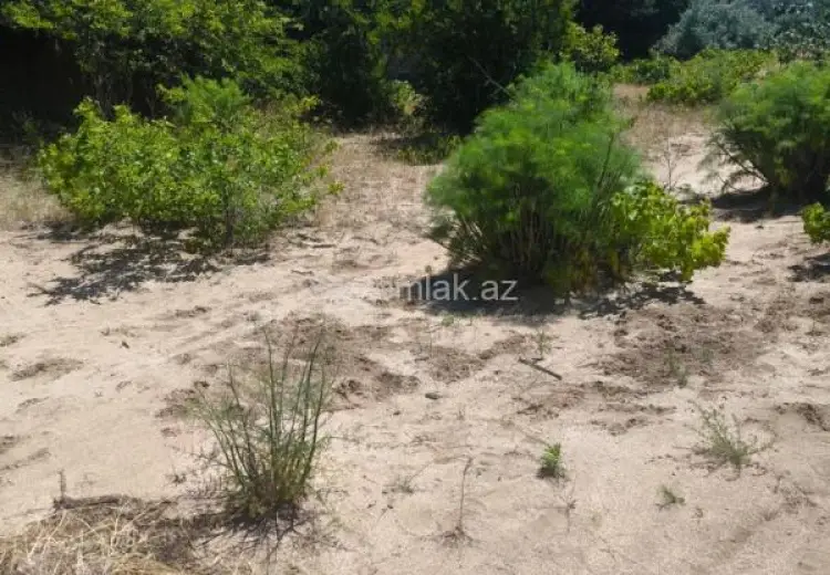 10 500 AZN - 3 sot Torpaq Satılır, Novxanı, Abşeron