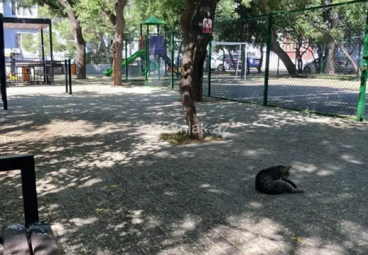 245 000 AZN - 3 otaqlı mənzil Satılır, Nəsimi, Bakı