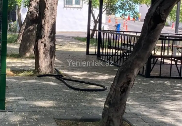 245 000 AZN - 3 otaqlı mənzil Satılır, Nəsimi, Bakı