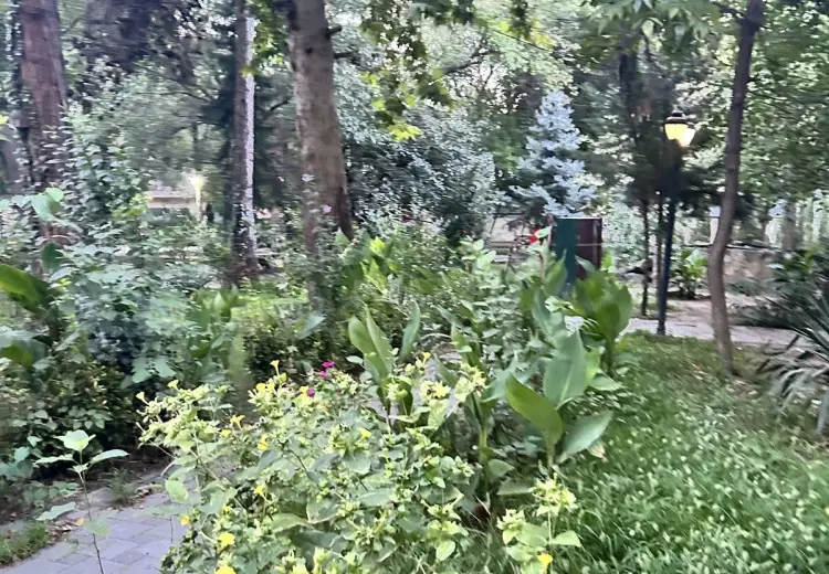 2 otaqlı mənzil Kirayə (aylıq), 8-ci mikrorayon, Binəqədi, Bakı