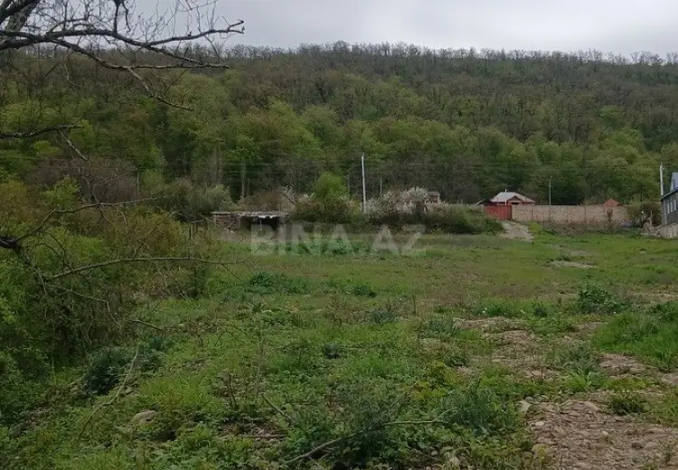 40 sot Torpaq Satılır, Qusar