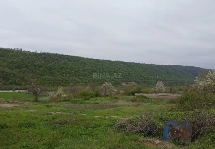 40 sot Torpaq Satılır, Qusar