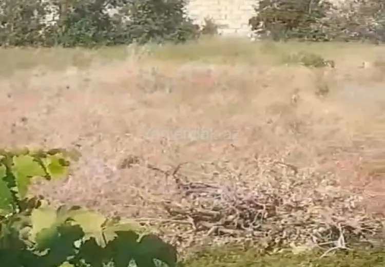 13 000 AZN - 40.5 sot Torpaq Satılır, Nardaran qəs., Sabunçu, Bakı