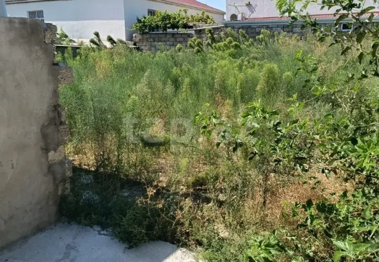 5 otaqlı mənzil Kirayə (aylıq), Zabrat qəs., Sabunçu, Bakı