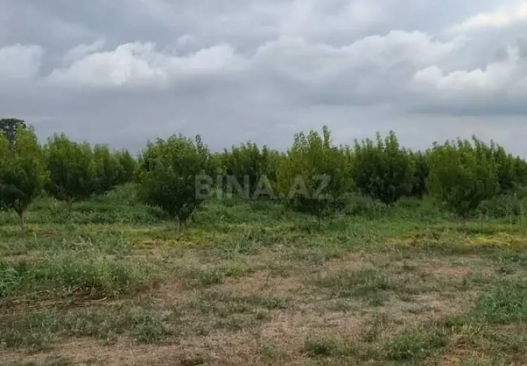800 000 AZN - 2500 sot Torpaq Satılır, Qusar