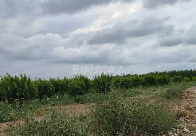 800 000 AZN - 2500 sot Torpaq Satılır, Qusar