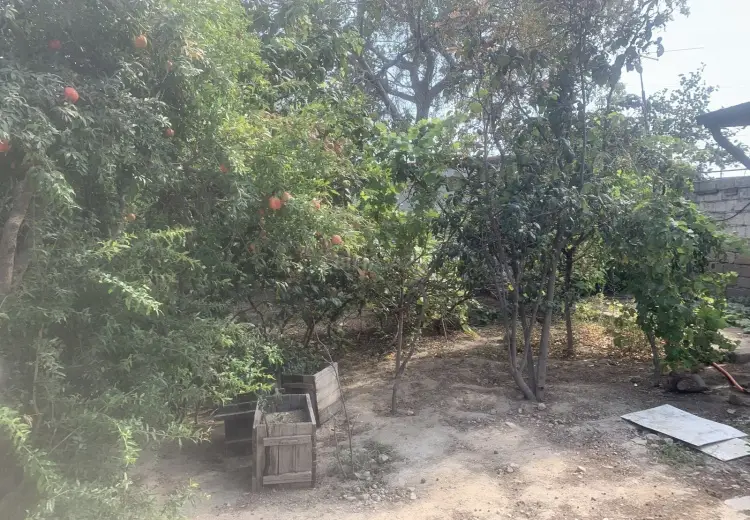3 otaqlı mənzil Kirayə (aylıq), Zabrat qəs., Sabunçu, Bakı