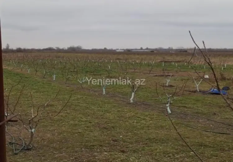 90 000 AZN - 3 otaqlı mənzil Satılır, Xaçmaz