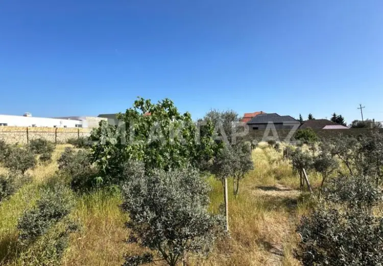 1 125 000 AZN - 50 sot Torpaq Satılır, Buzovna, Xəzər, Bakı