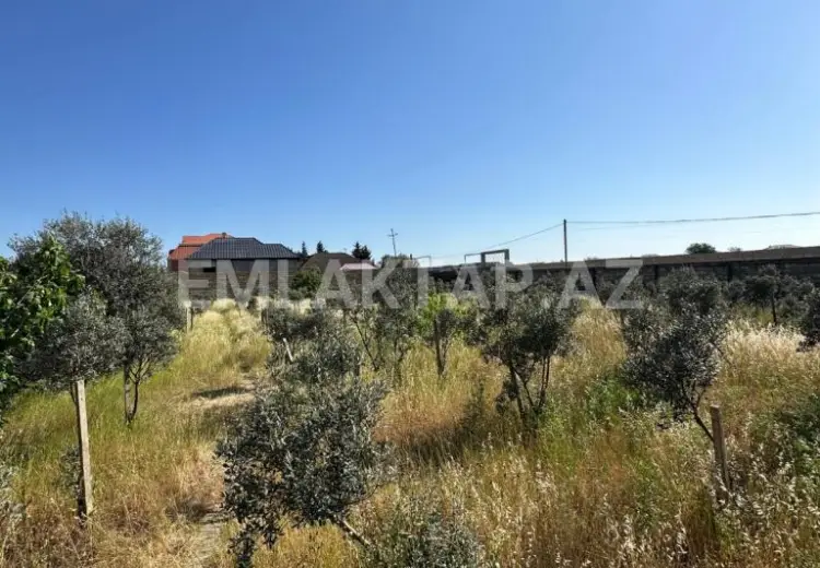 1 125 000 AZN - 50 sot Torpaq Satılır, Buzovna, Xəzər, Bakı