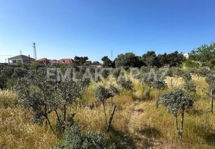 1 125 000 AZN - 50 sot Torpaq Satılır, Buzovna, Xəzər, Bakı